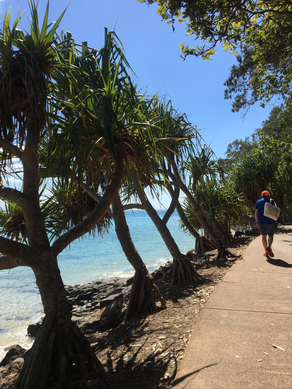 Protected: Testing, testing,&nbsp;123!